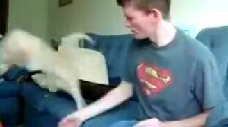 Кот-чародей - научит говорить людей! - смотреть видео (0:11)