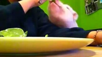 Поросёнок выпрашивает салат - смотреть видео (1:21)