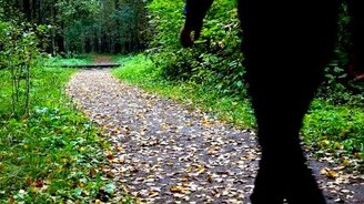 Игорь Растеряев - Кошка Муся - смотреть видео (1:42)