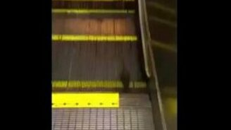 Мышиная безысходность - смотреть видео (1:08)