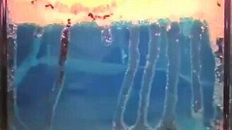 Муравьиная ферма - смотреть видео (4:53)