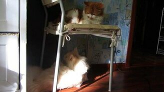 А ну не трогай меня! - смотреть видео (0:43)