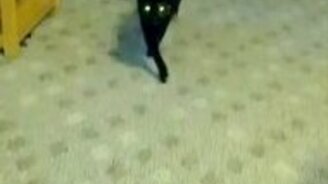 Как ходят фото-модели - смотреть видео (0:22)