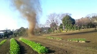 Торнадо на огороде - смотреть видео (1:31)