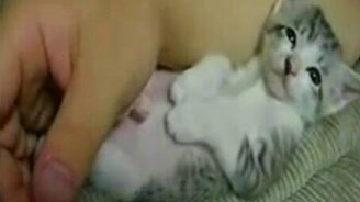 Смертельно уставший котёнок - смотреть видео (0:35)