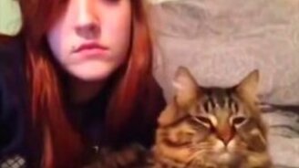 Смешные большие и маленькие животные - смотреть видео (9:29)