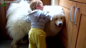 Ребятишки и зверушки - смотреть видео (11:41)