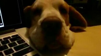 А со мной пообщаться? - смотреть видео (2:02)