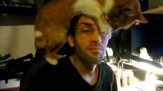 Разбаловал кота напрочь - смотреть видео (1:13)