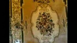 Ковровая миссия кота - смотреть видео (0:22)