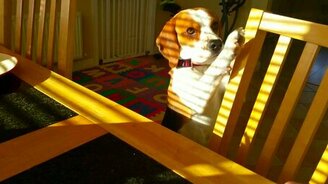 Давай меняться - завтрак на игрушку! - смотреть видео (0:50)