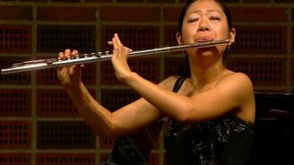 Бабочка прилетела на звуки флейты - смотреть видео (1:33)