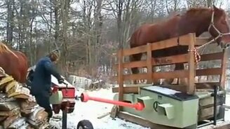 Вот кого ничем не напугаешь - смотреть видео (0:46)