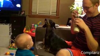 Весёлые собаки и детишки - смотреть видео (5:05)