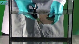 Режем стекло ножницами - смотреть видео (2:23)