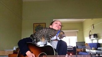 Дуэт девушки и кота - смотреть видео (1:50)