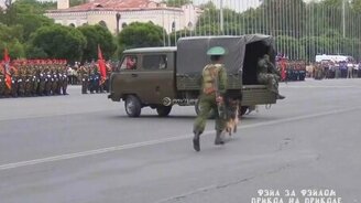 Верный пёс солдата - смотреть видео (0:36)