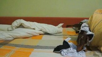 Как быстро высушиться после душа - смотреть видео (1:02)