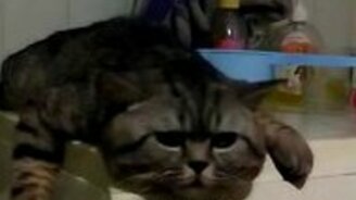 Бренность жизни на стиралке - смотреть видео (0:58)