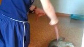 Тухлый котяра - смотреть видео (0:14)