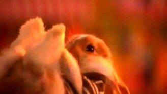 Мирок грызунов - смотреть видео (0:30)