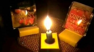 Жизнь пакетиков чая - смотреть видео (6:34)