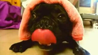 Живой моторчик - смотреть видео (0:30)