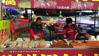 Китайская отпугивалка мух - смотреть видео (0:12)