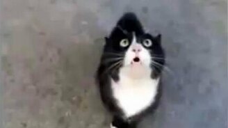 Где детонатор? - смотреть видео (0:19)