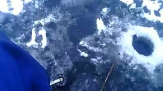 Норка ловит рыбу вместе с рыбаком - смотреть видео (3:16)