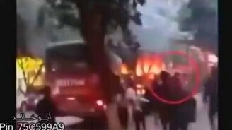 Если вы утратили веру в людей... - смотреть видео (7:11)