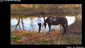 Хозяйка приучила своего коня к воде - смотреть видео (2:17)