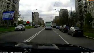 Культурный пёс-пешеход - смотреть видео (0:23)