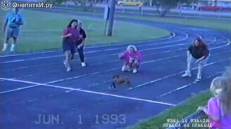 Нечестная такса - смотреть видео (0:40)