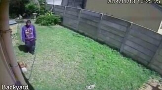 Нарвался на огромного охранника - смотреть видео (0:53)