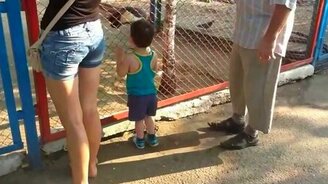 Мальчуган любуется женскими ногами - смотреть видео (0:34)