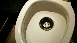 Скрестили унитаз и измельчитель - смотреть видео (0:23)