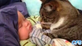 Кошки и детишки - смотреть видео (3:50)