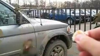 Покормил воробьёв с руки - смотреть видео (0:50)