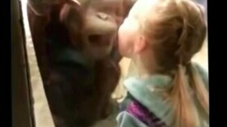 Дети и животные в зоопарке - смотреть видео (5:31)