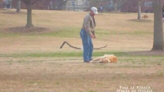 Хозяин не может поднять своего пса - смотреть видео (2:15)