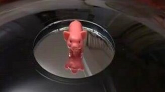 Удивительная иллюзия с поросёнком - смотреть видео (0:38)