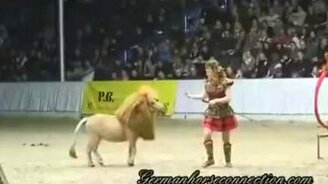 Пони-лев на арене цирка - смотреть видео (3:33)