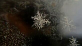 Как рождается снежинка - смотреть видео (0:20)