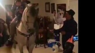 Мексиканцы настолько суровы... - смотреть видео (0:15)