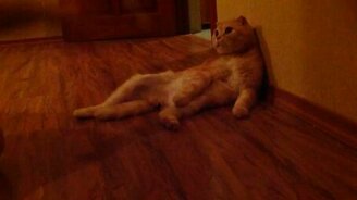 Не хочу играться! - смотреть видео (0:29)