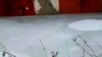 Охрана гаражей по-русски - смотреть видео (0:58)