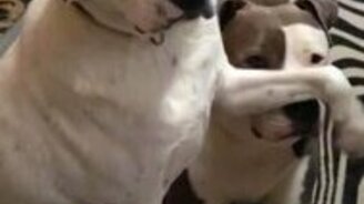 Не выдавай секретов - смотреть видео (0:27)