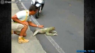 Приколы реальные и с монтажом - смотреть видео (5:05)