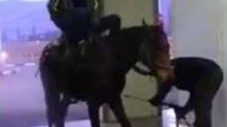 Лошадь на автомойке - смотреть видео (1:21)